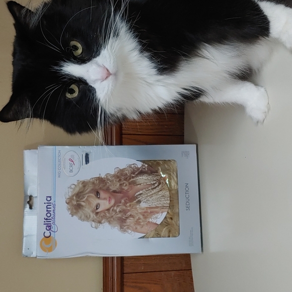 California Costumes Seduction Wig - Picture 4 of 12